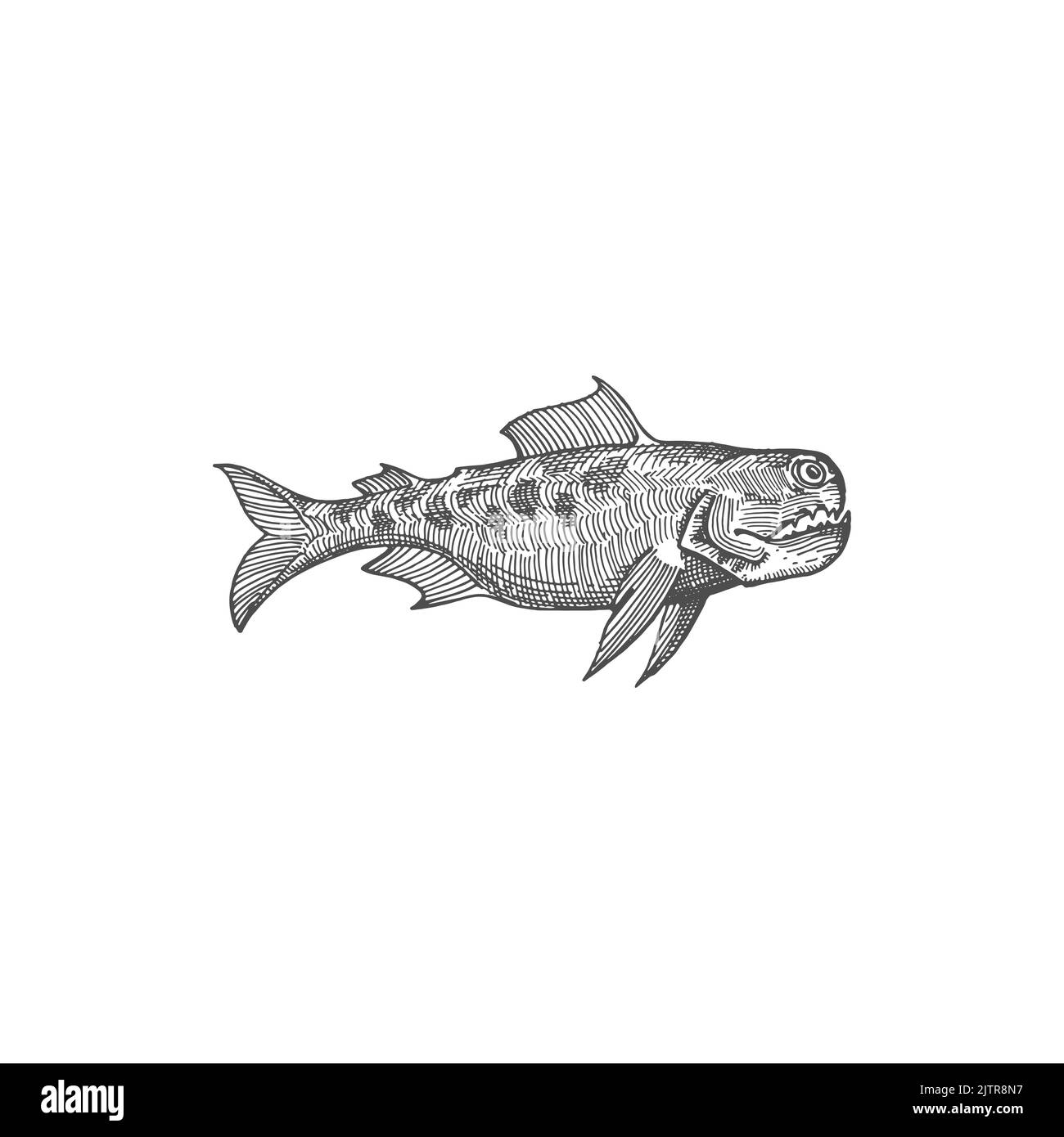 Fangtooth fish isolated monochrome sketch icon. Vector deep ocean or sea large toothed predator, Anoplogaster Cornuta. Black Dragonfish, Long-Nosed Chimaera, Blobfish, Hatchet Fish, Giant Oarfish Stock Vector