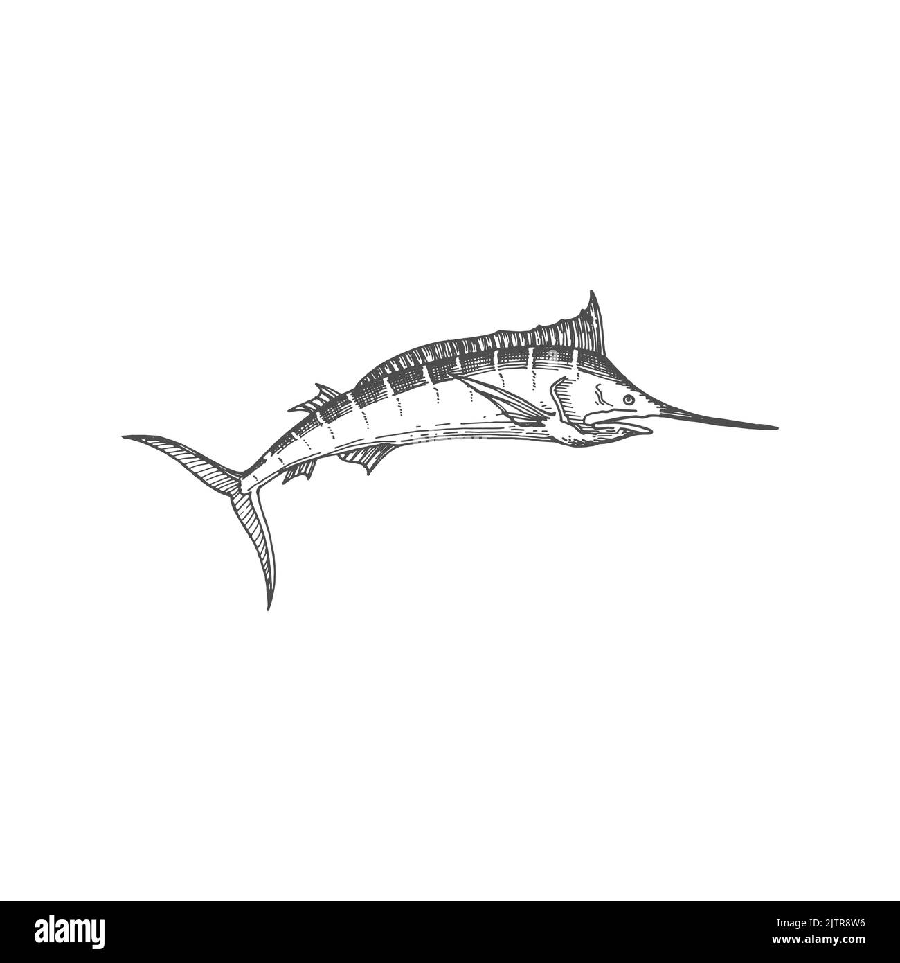 Toms Stock Vector Images Alamy