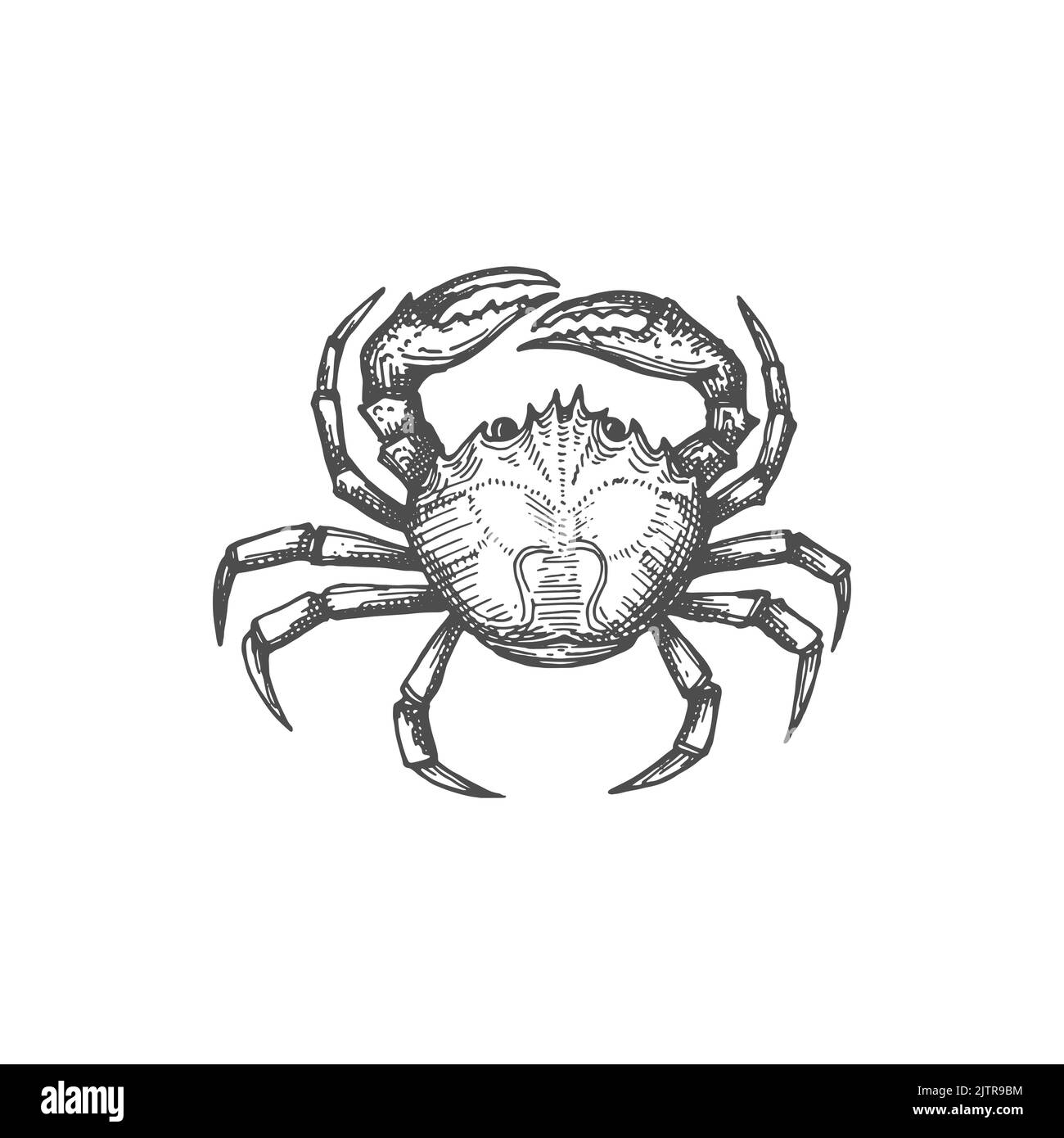 Crab claw black white edible hires stock photography and images Alamy