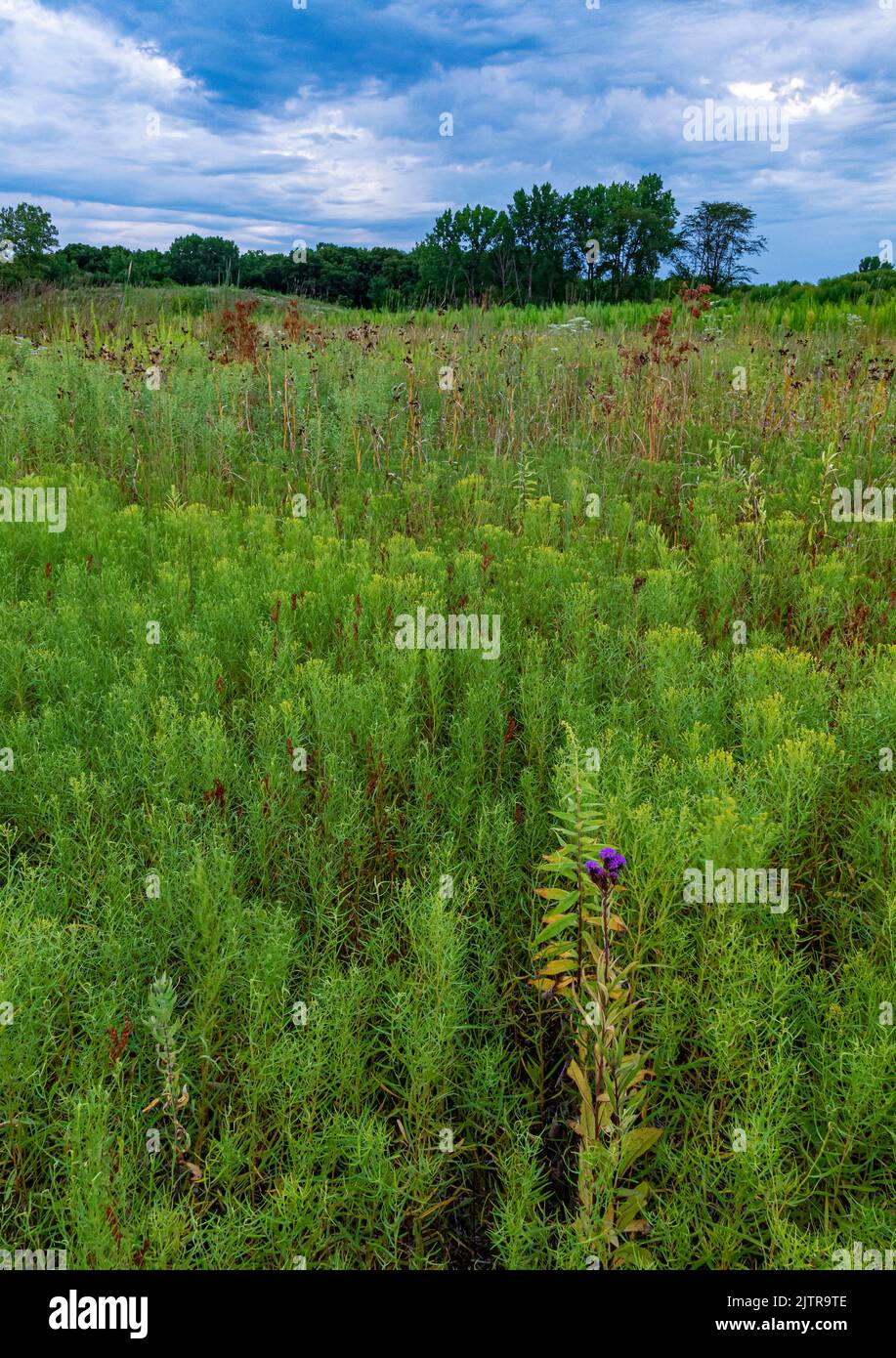 Kankakee sands forest preserve hires stock photography and images Alamy