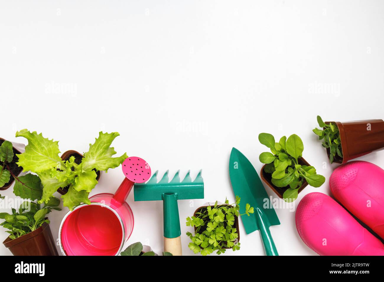Work in the garden. Tools and potted plants on the table. Stock Photo