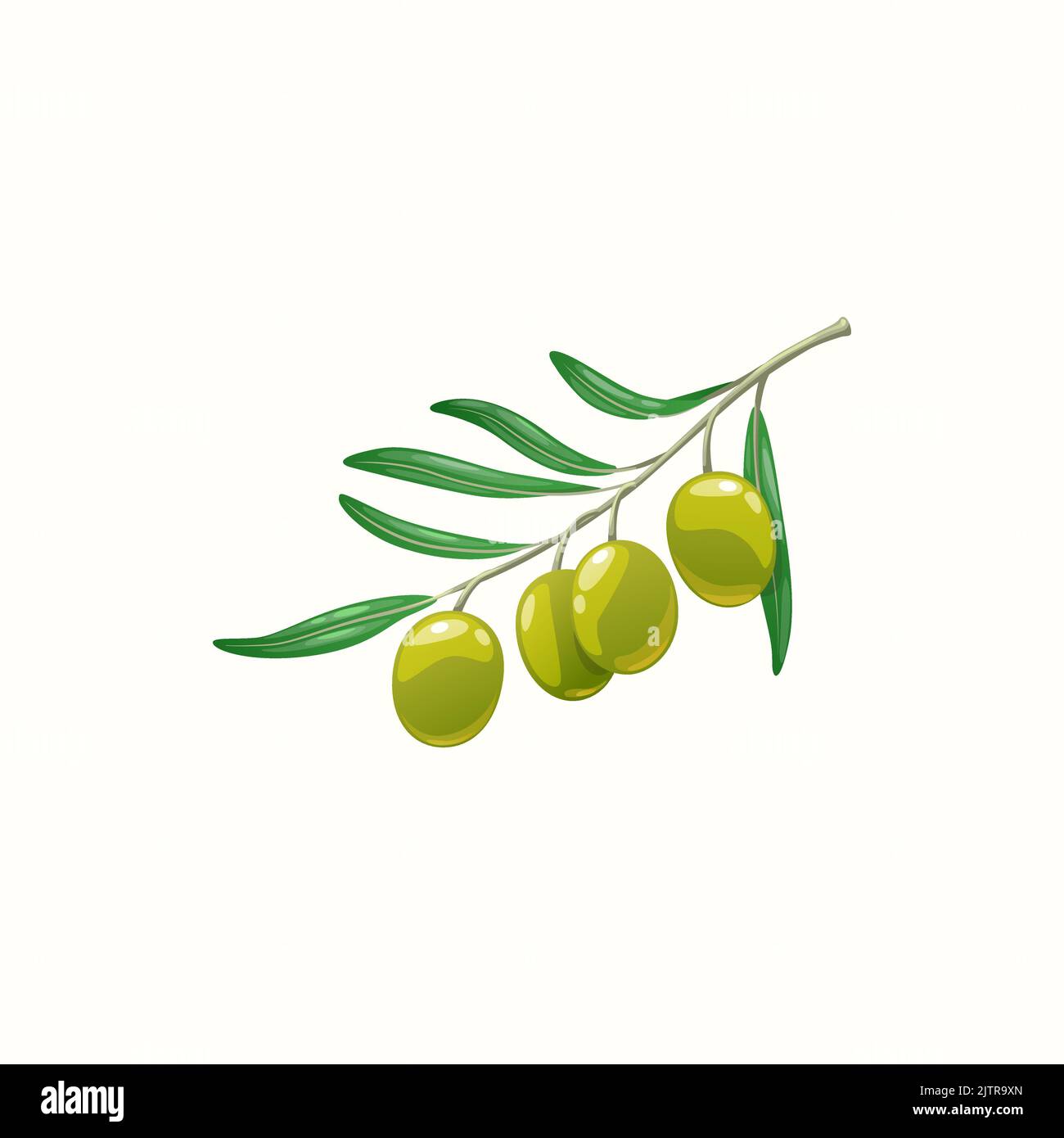 Green olive tree branch with berries and leaves isolated realistic icon ...