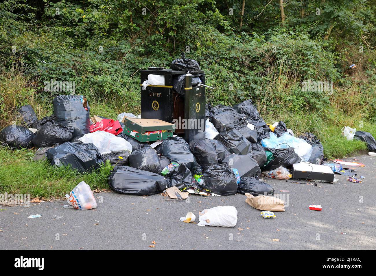 Craigavon, County Armagh, Northern Ireland, UK. 01 Sept 2022. Three and