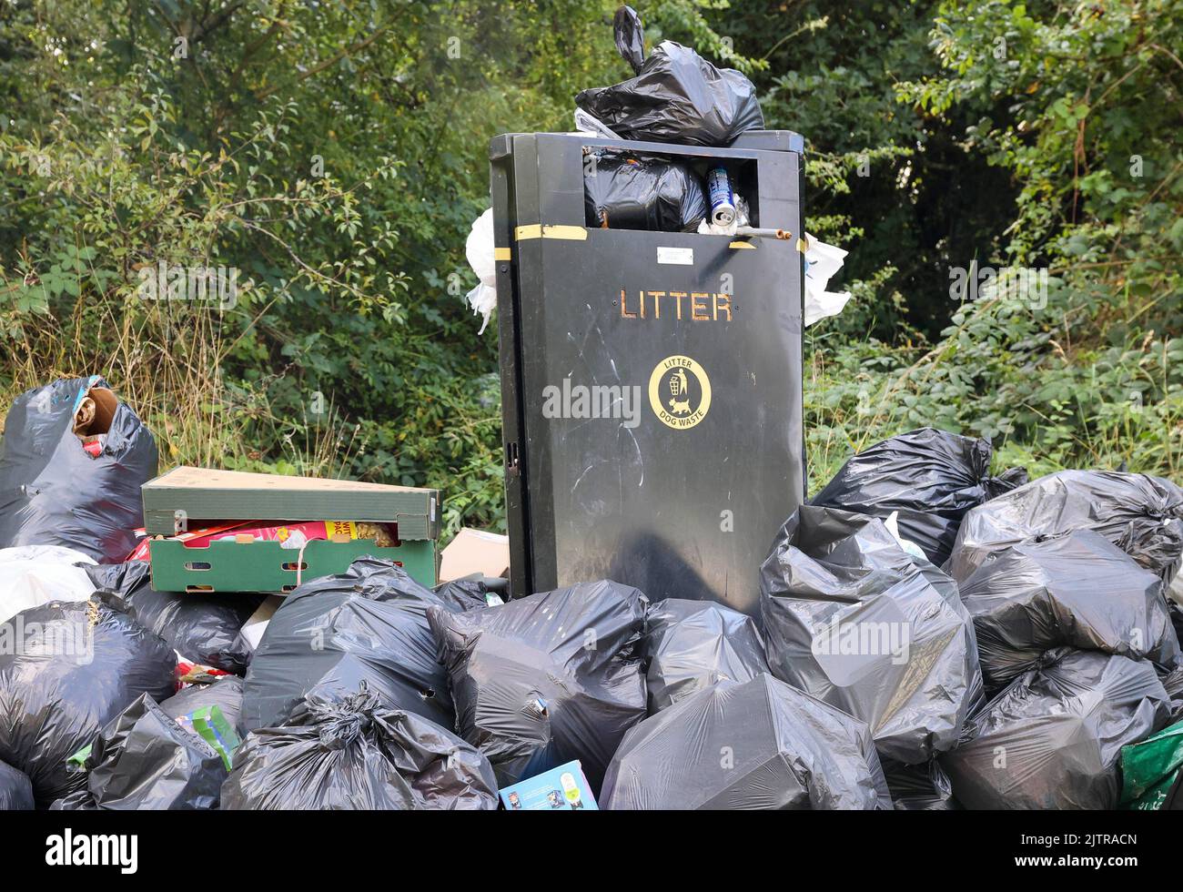 Craigavon, County Armagh, Northern Ireland, UK. 01 Sept 2022. Three and a half weeks on, there