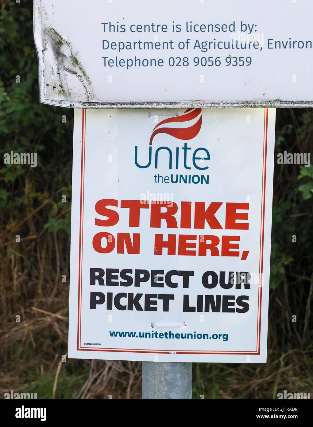 Craigavon, County Armagh, Northern Ireland, UK. 01 Sept 2022. Three and