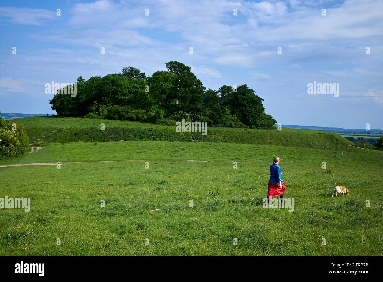 Wittenham Clumps are a pair of wooded chalk hills in the Thames Valley, in the civil parish of Little Wittenham, Oxfordshire. Stock Photo