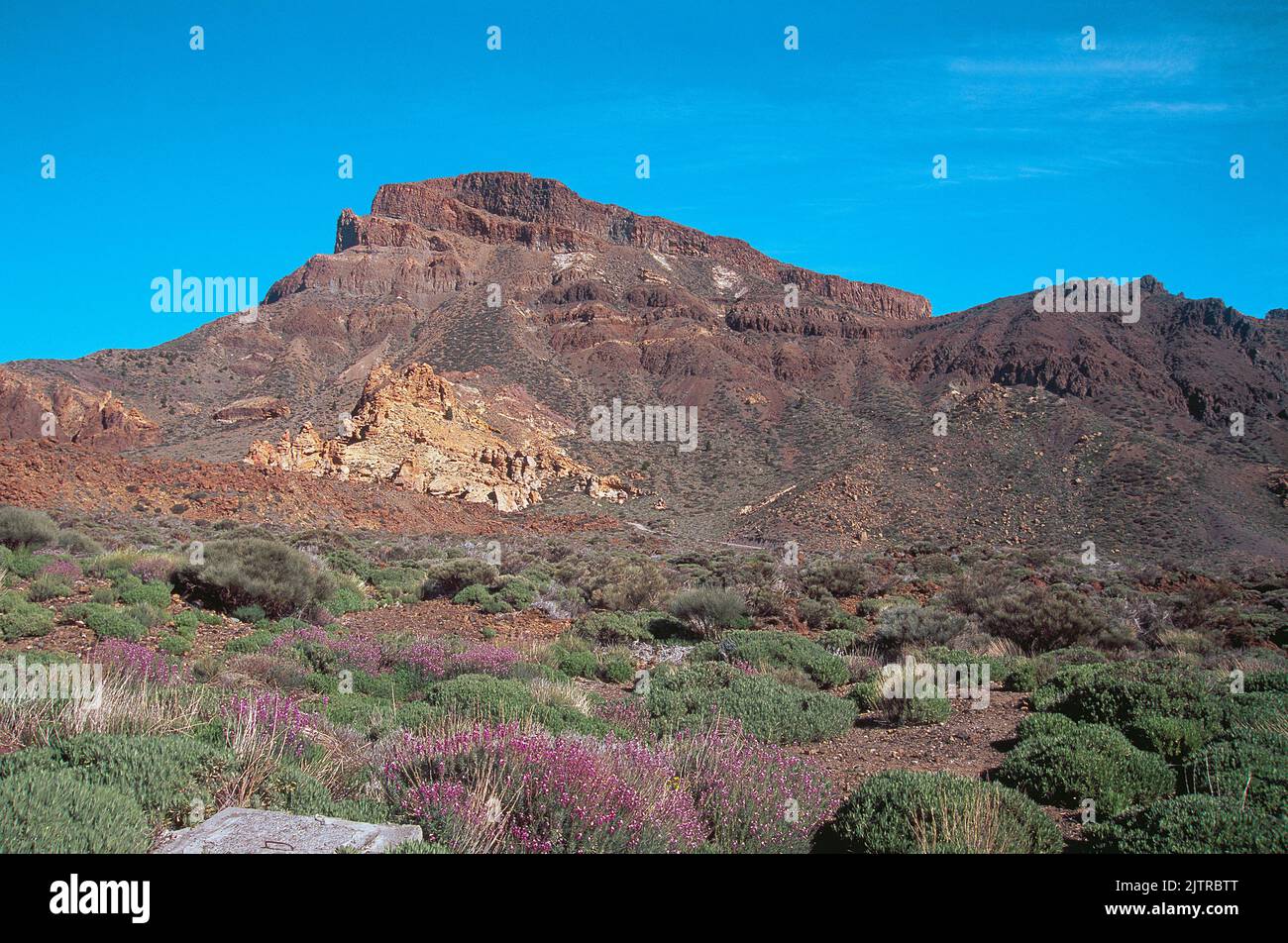 Teide National Park. Tenerife island, Canary Islands, Spain. Stock Photo