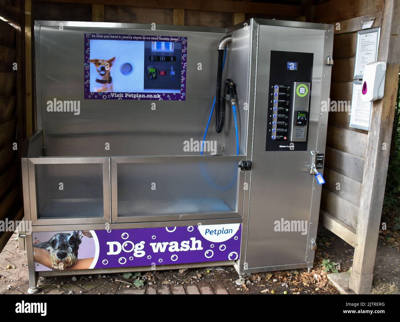 Washing dog paw hires stock photography and images Alamy