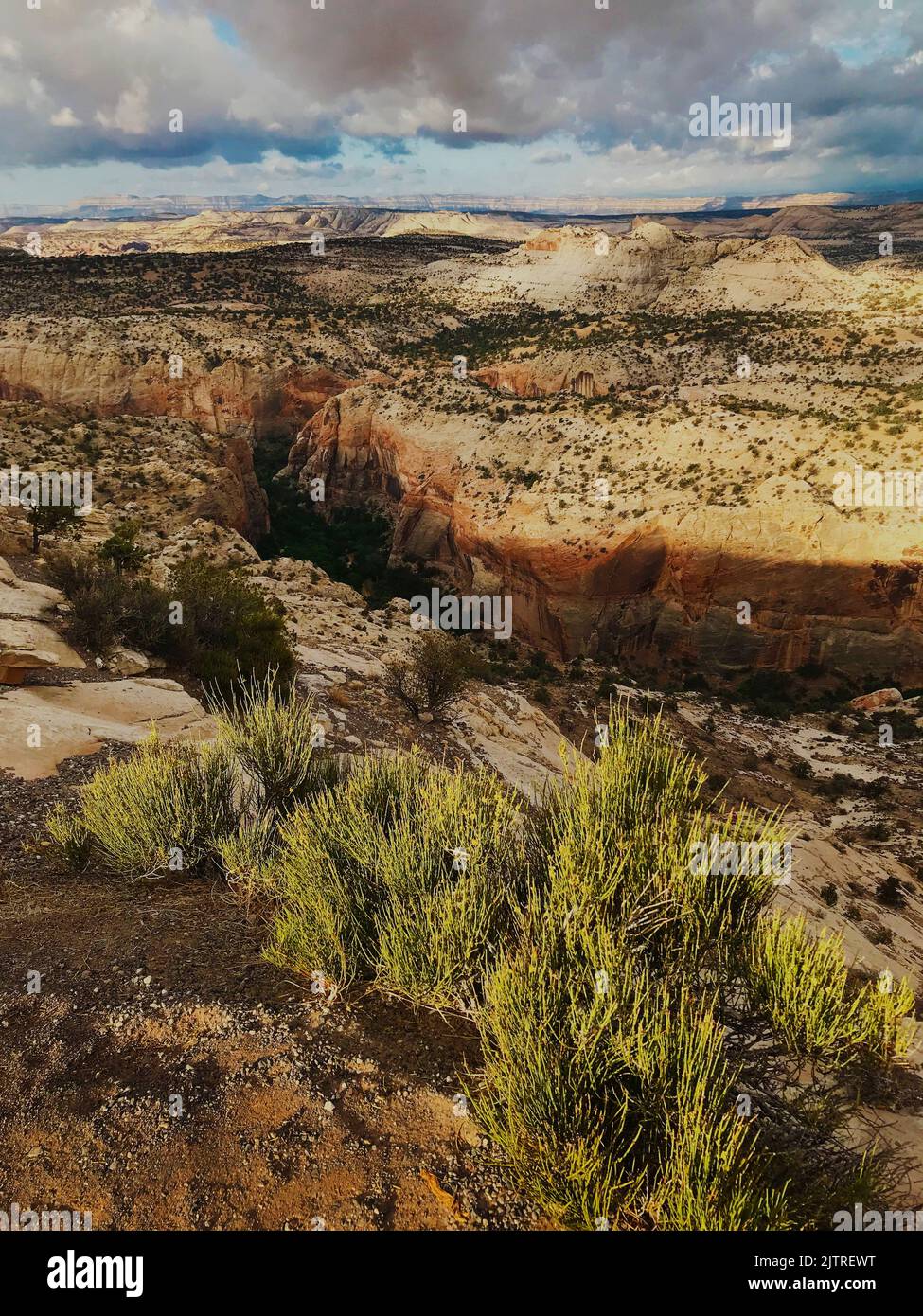 A deep canyon from the distance hides the Escalante River from view