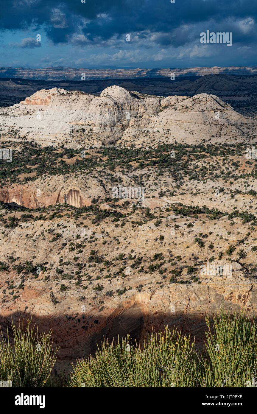 A typical landscape at Grand Staircase Escalante National Monument in early morning light, Garfield County, Utah Stock Photo