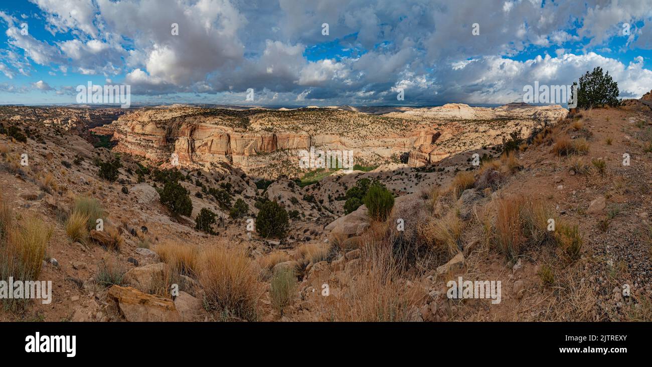 A panoramic view shows the vastness of the Grand Staircase Escalante National Monument, Garfield County, Utah Stock Photo