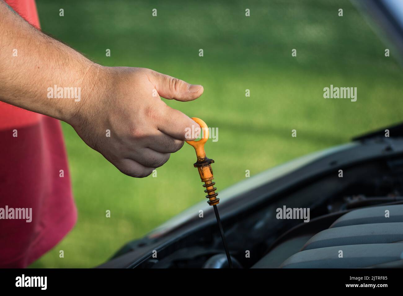 Car mechanic checking the engine oil level Stock Photo Alamy