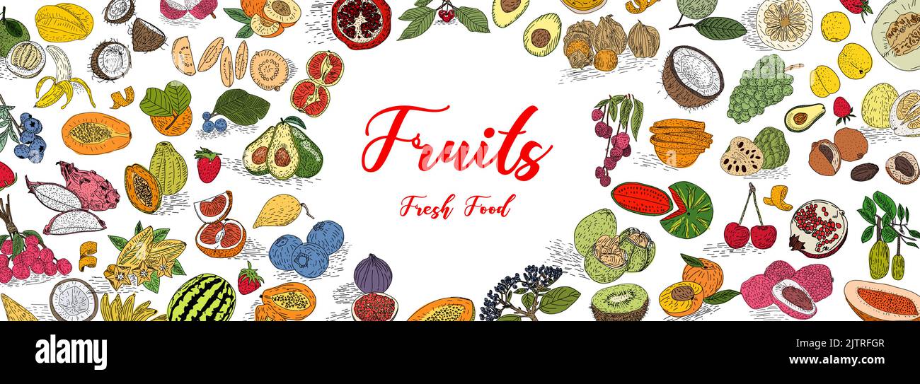 Fruit collection in flat hand drawn style, decorative retro style illustrations set. Tropical fruit and graphic design elements. Sketch style, ingredi Stock Vector