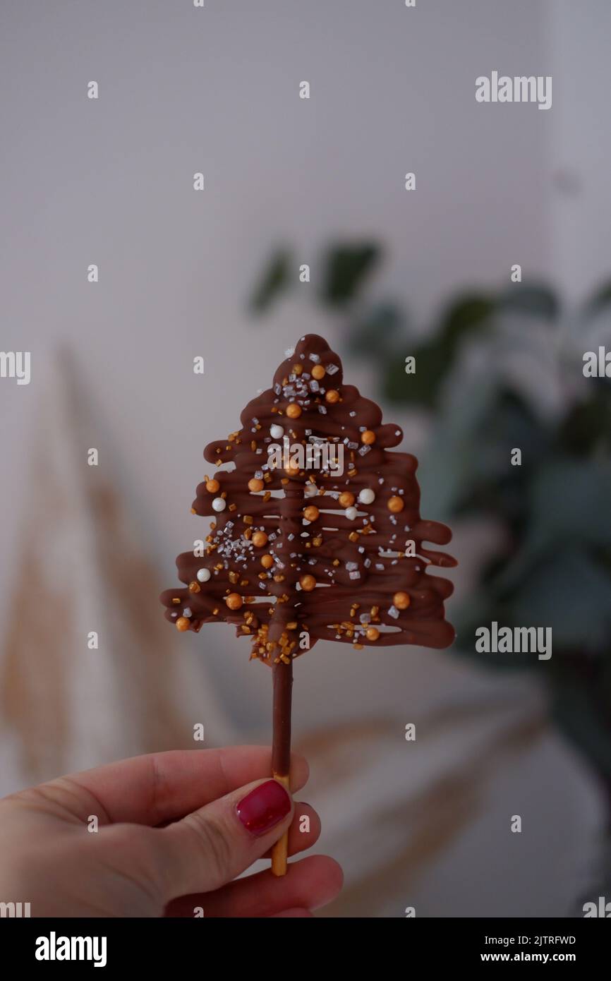 Homemade christmas tree using piped chocolate and a pretzel stick