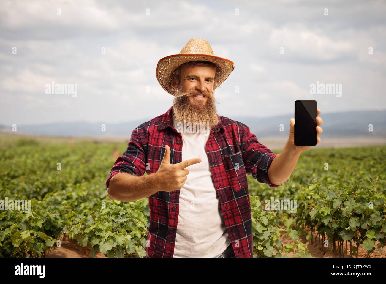 Farmer with a smartphone standing on a grapevine nursery field Stock Photo