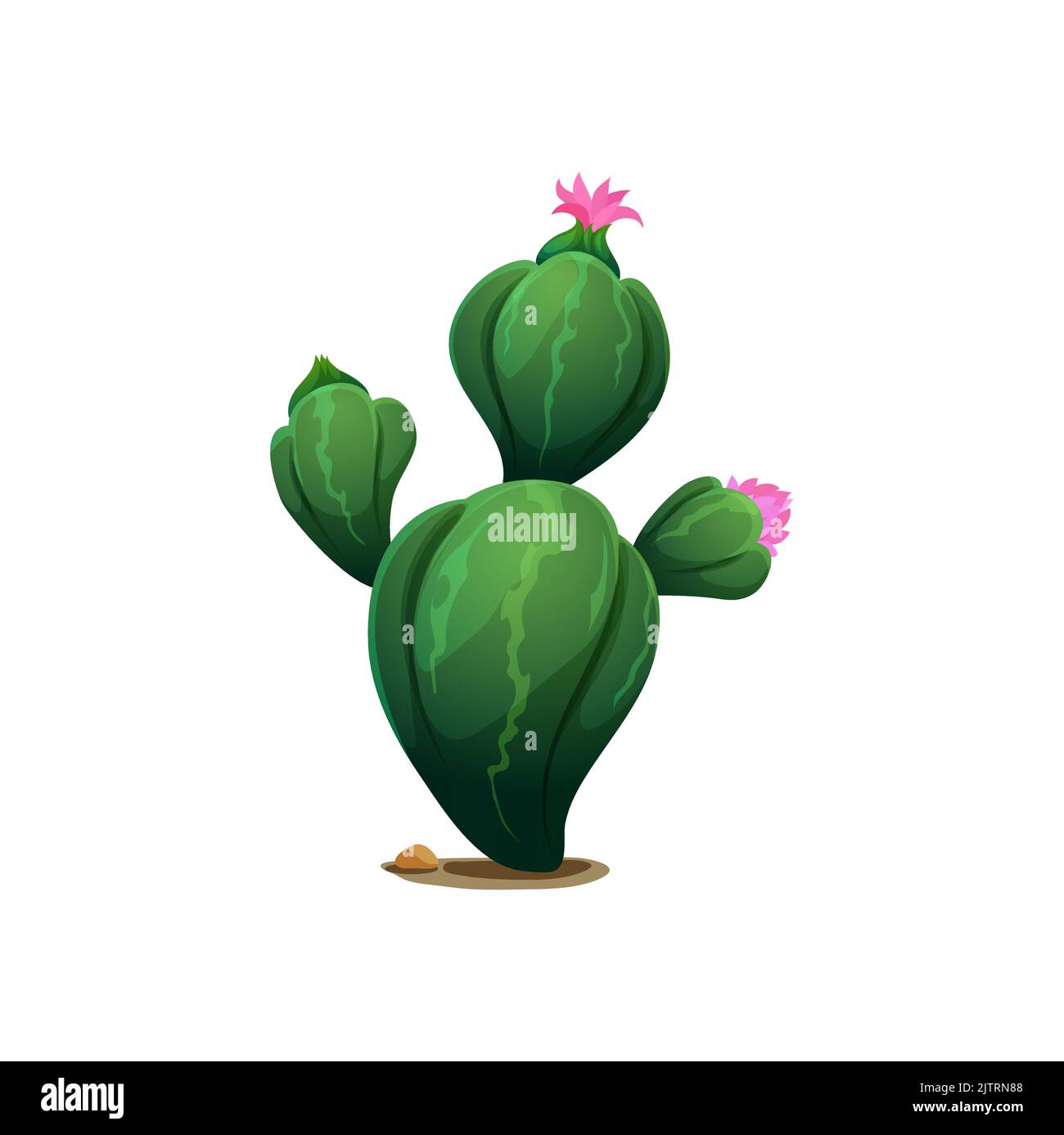 Ariocarpus prickly growing cactus with big thorns, cartoon design element, Cinco de Mayo holiday decoration. Vector exotic blossom of cacti, cactus with spikes and pink blooming flower growing in sand Stock Vector