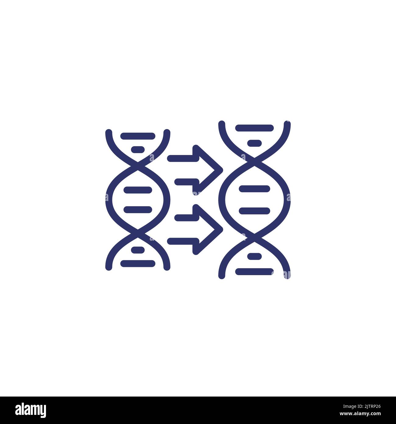 DNA replication icon, line vector Stock Vector