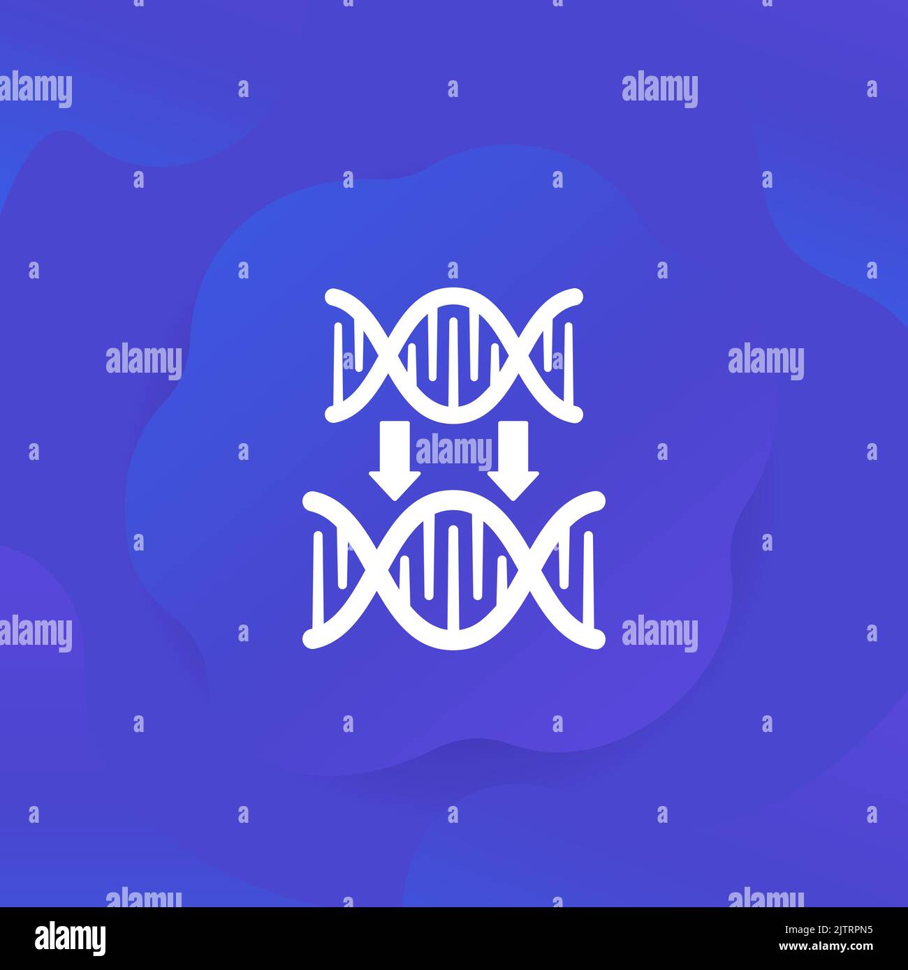 DNA replication icon, genetics vector Stock Vector