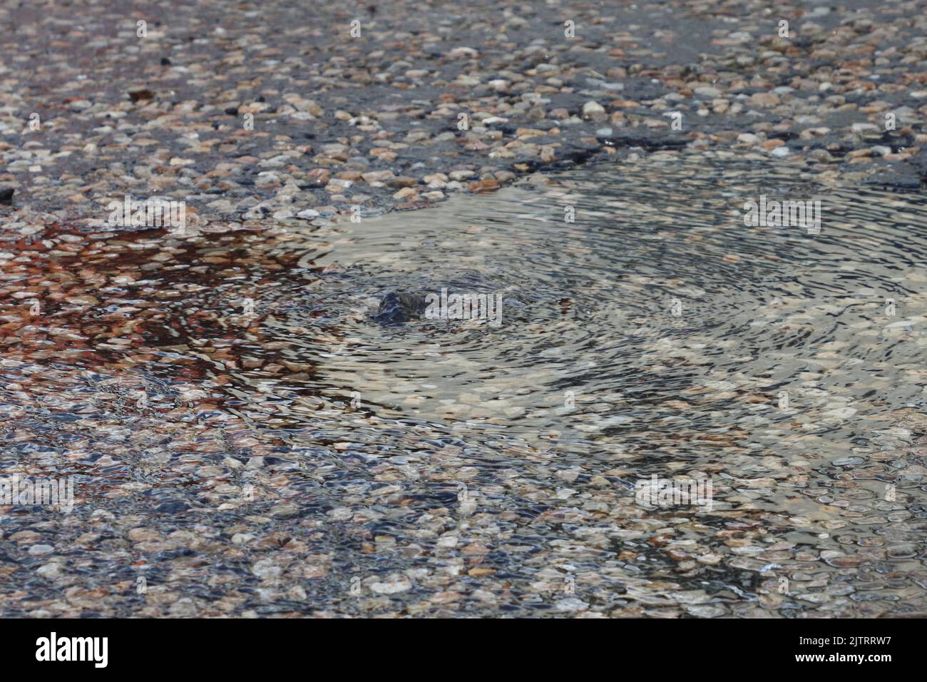 Water from an underground burst pipe escapes through the road surface ...