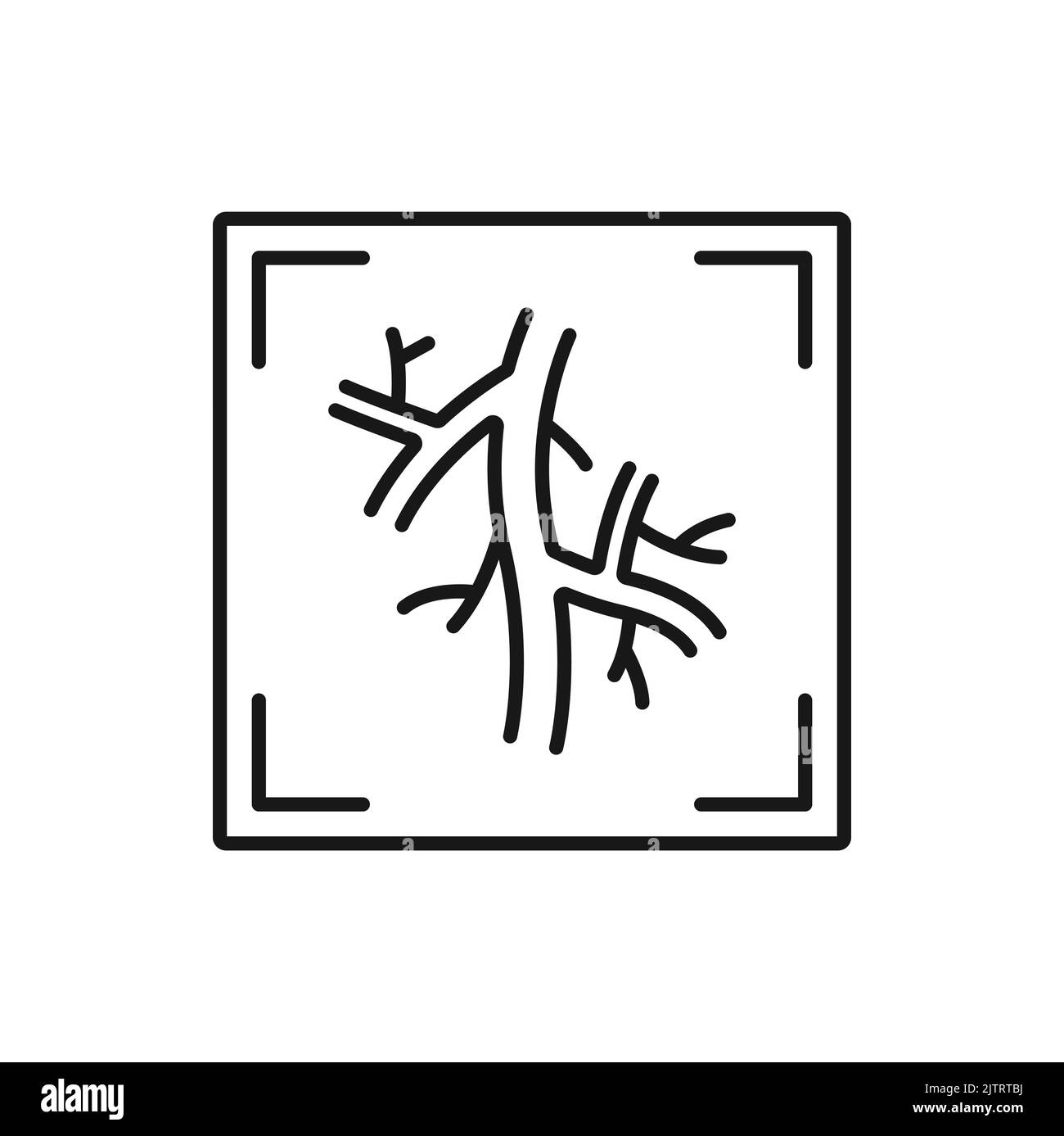 Computed tomography angiogram isolated CT test outline icon. Vector X-rays of blood vessels that go to heart, lung or brain, head or neck Stock Vector