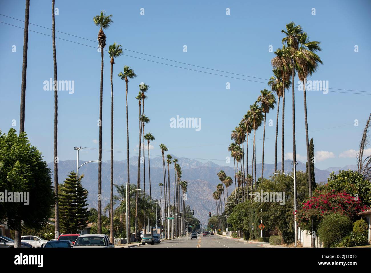 Palm trees frame a residential street in West Covina, California, USA