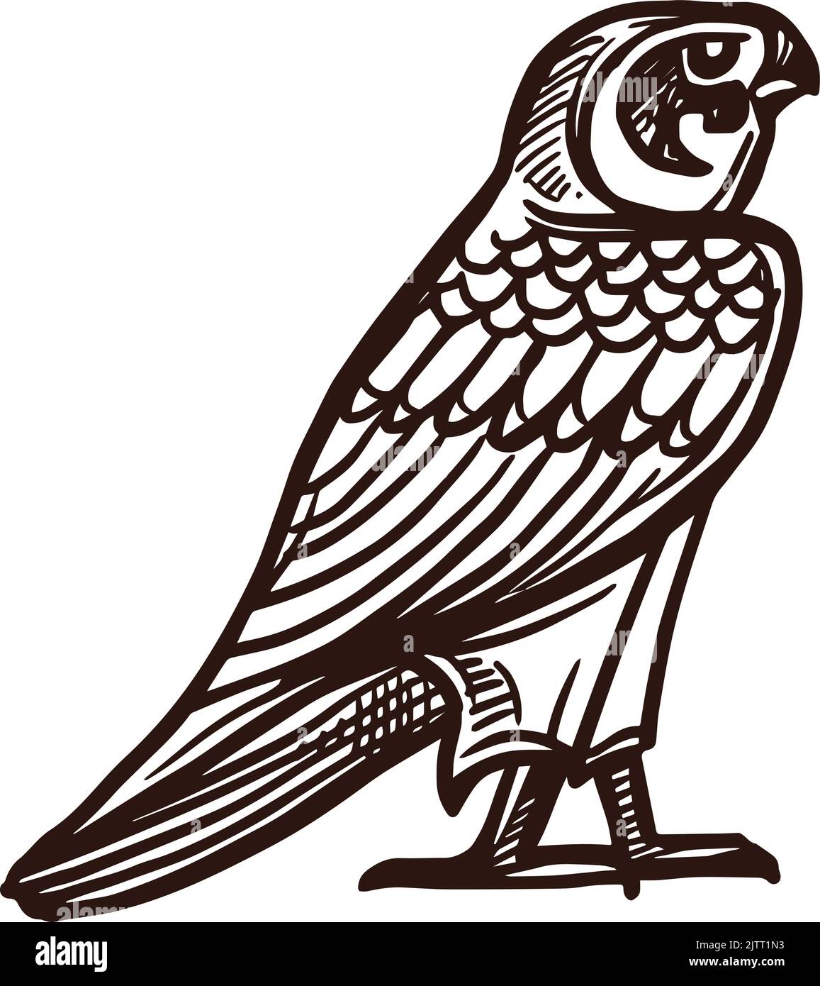 Horus falcon sketch, Ancient Egypt deity and mythology bird, vector icon. Ancient Egyptian sacred falcon bird deity and symbol of god Ra or Horus, myt Stock Vector