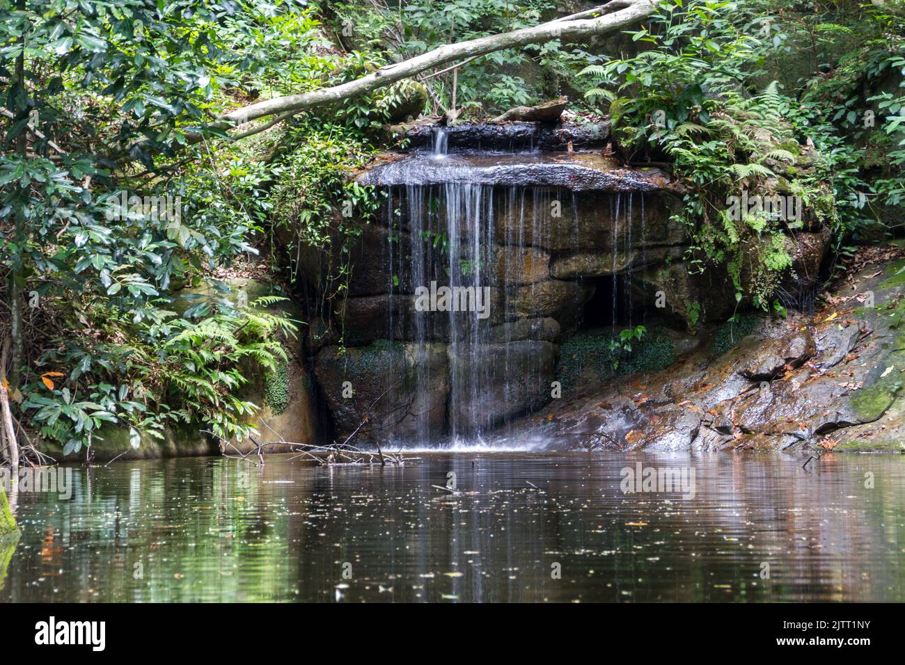 small waterfall in the lage park in Rio de Janeiro Brazil. Stock Photo