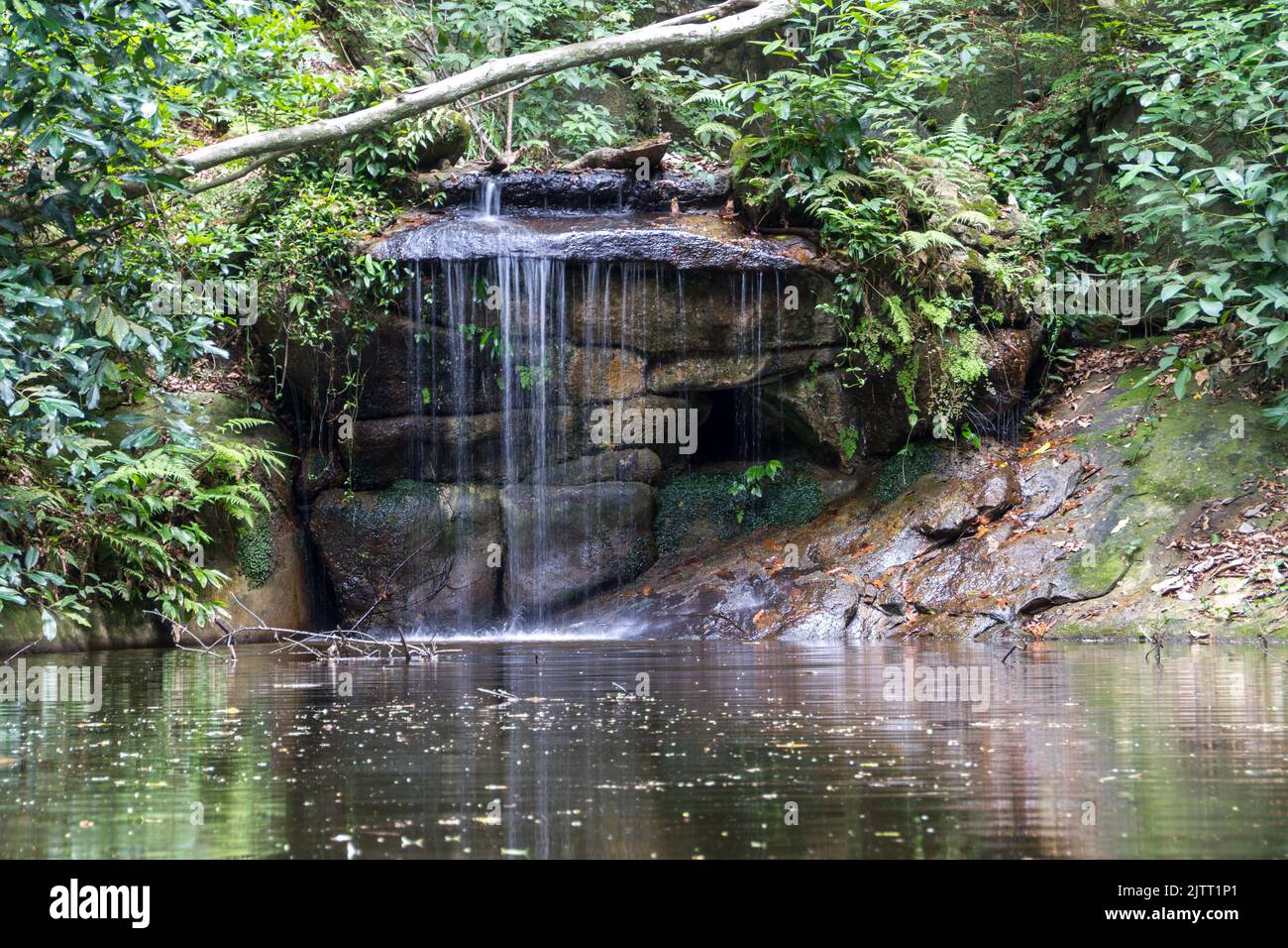 small waterfall in the lage park in Rio de Janeiro Brazil. Stock Photo
