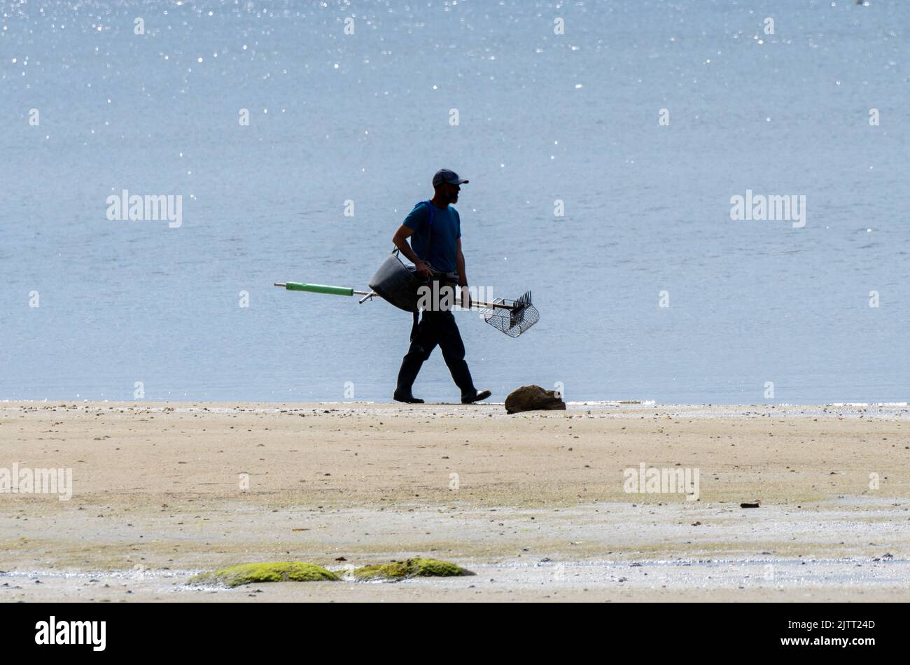Shellfish gatherer walking along the beach shore to prepare to collect clams and mussels from the beach with his rake. Boiro beach in Pontevedra. Stock Photo