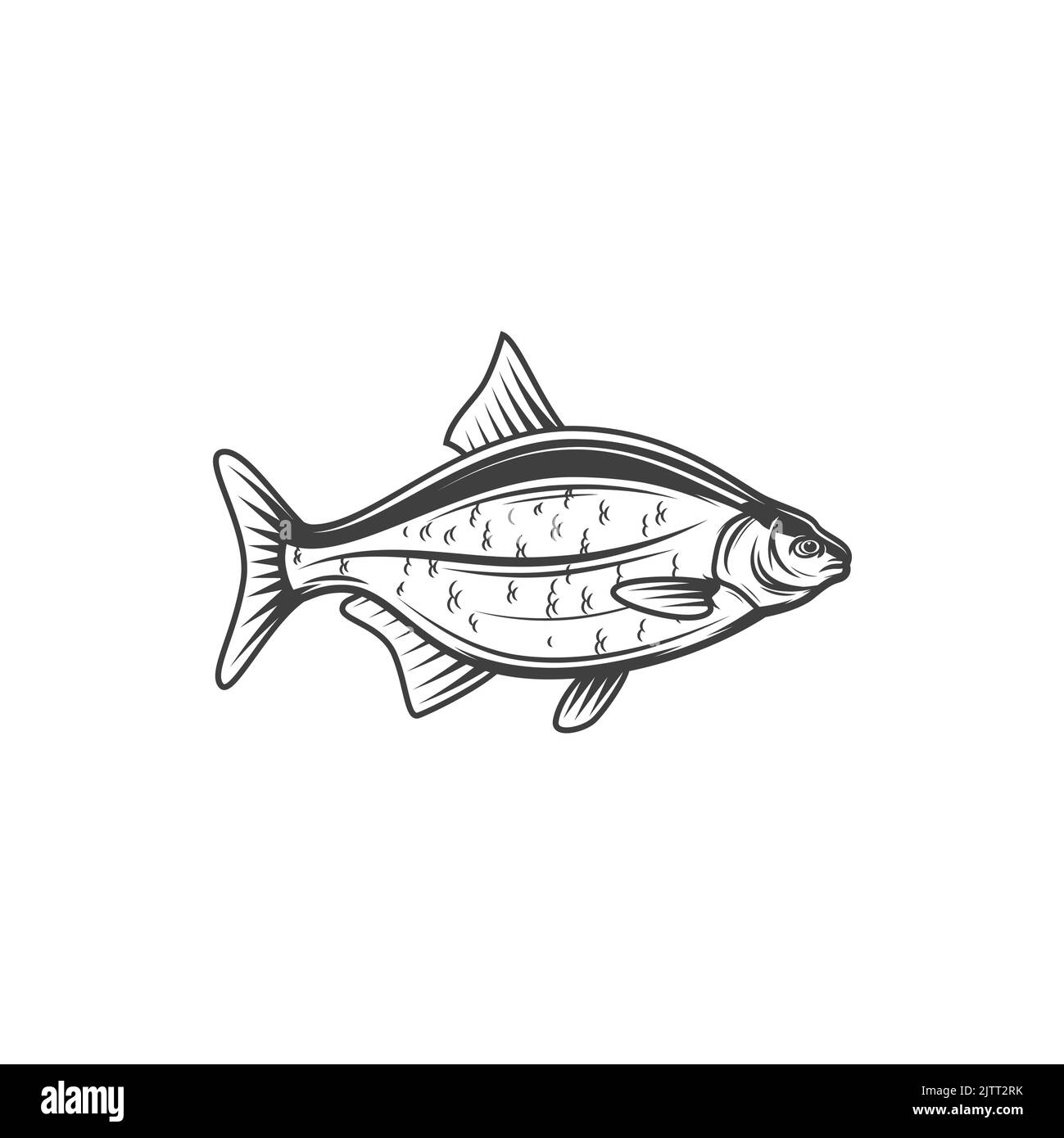 Black bream recipe Stock Vector Images - Alamy
