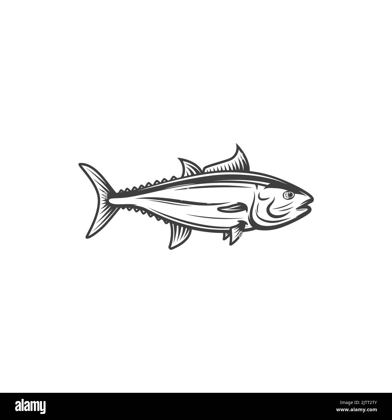 Tuna fish, fishing and food, ocean and marine fish vector icon. Tuna ...