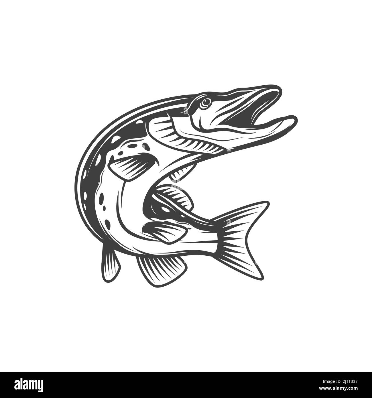 Pike fish or freshwater pickerel and walleye, vector isolated icon. Freshwater and marine fish, food and fishing pike or pickerel walleye, fishery mar Stock Vector