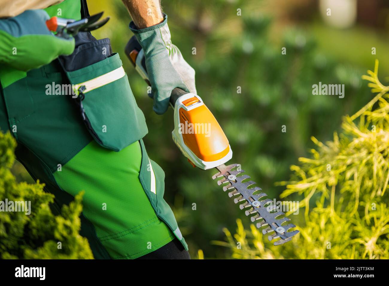 Closeup of Small Cordless Hedge Trimmer in the Hand of Landscape Gardener. Ready for Trimming. Professional Gardening and Landscaping Equipment Theme. Stock Photo