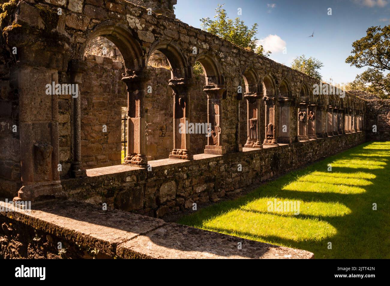 Cloister arcade and arched shadows at Jerpoint Abbey in Thomastown, Ireland. Stock Photo