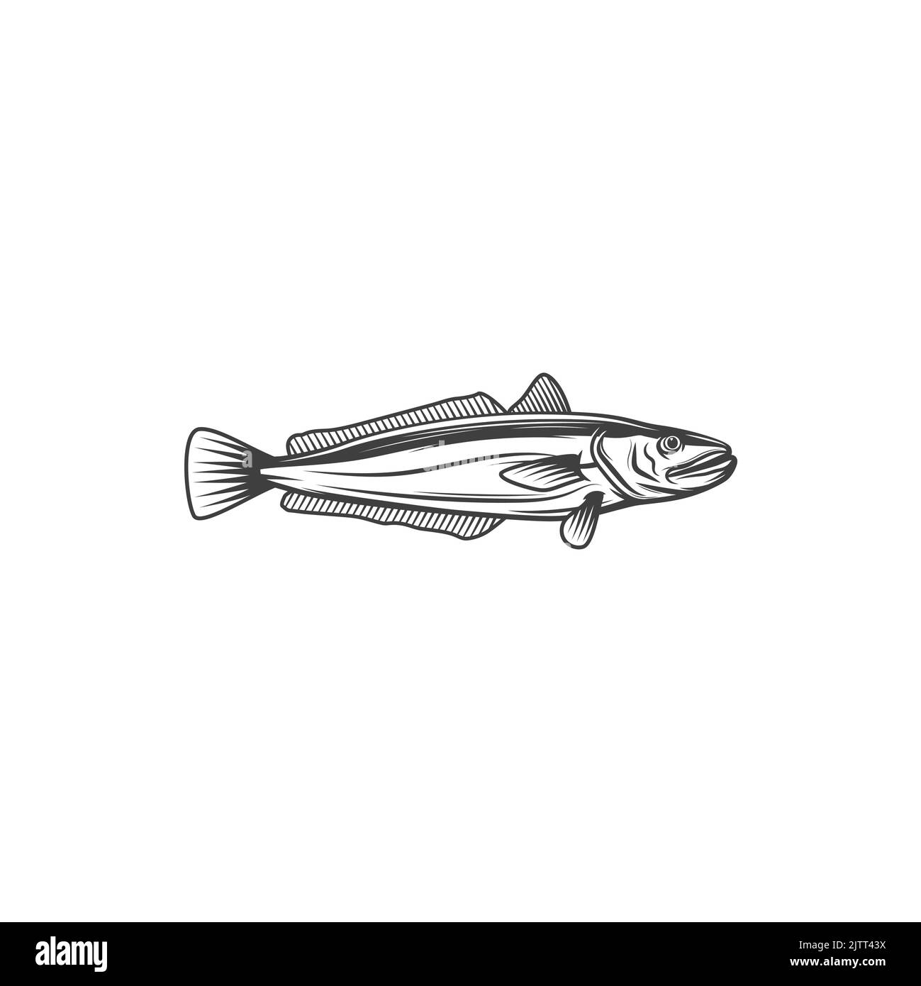 Hake cod-like fish isolated monochrome icon. Vector psychidae Atlantic ocean habitat, saltwater cold blooded fish, raw fresh or cooked. Hake merlucciu Stock Vector