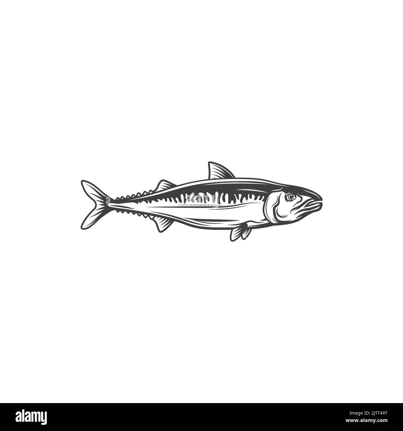 Anchovy small forage fish isolated monochrome icon. Vector Anchoa