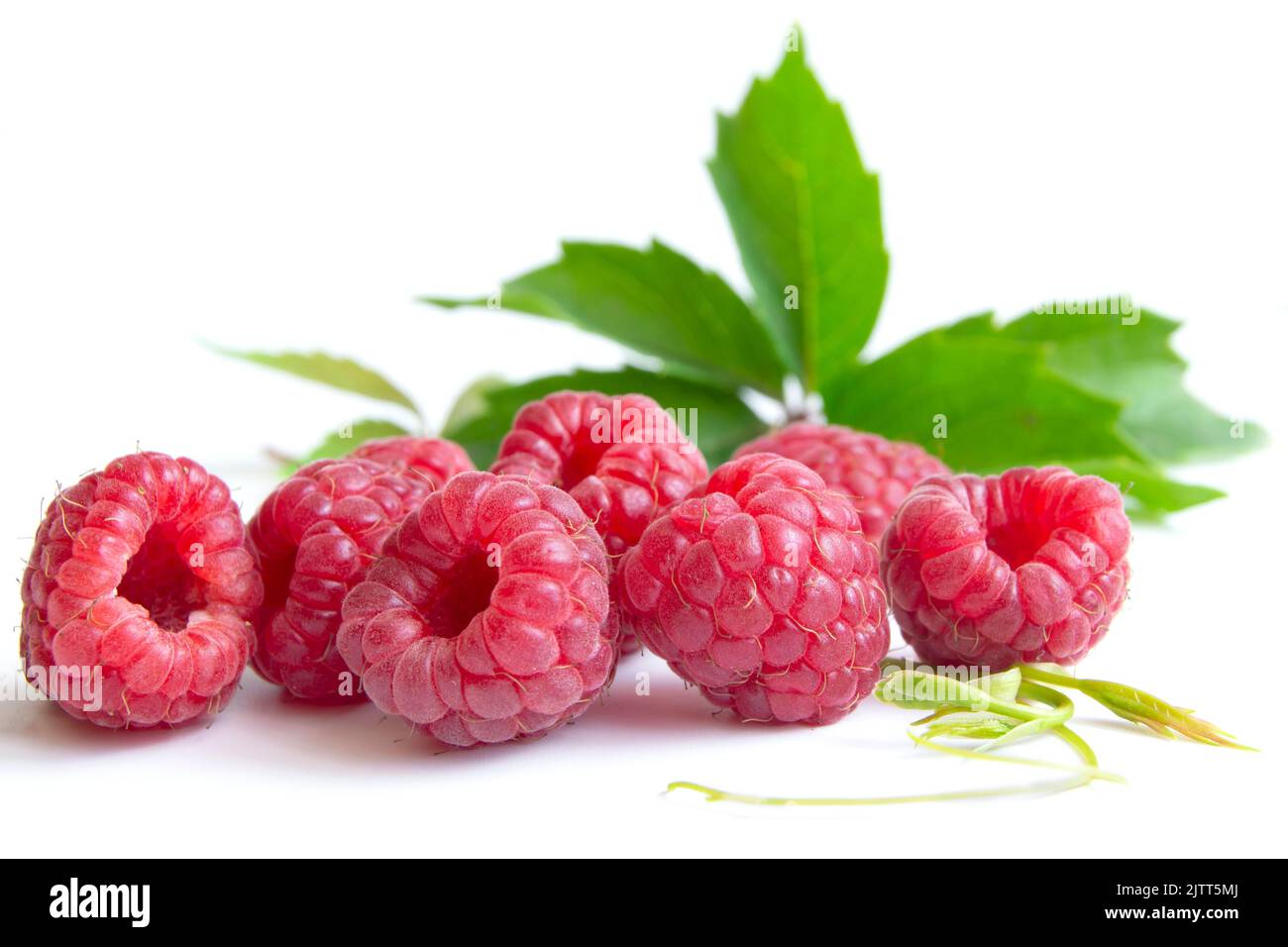 Isolated berries. Pile of raspberry fruits with leaves isolated on a ...