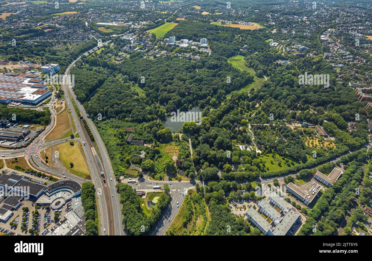 Aerial view, Rombergpark, green lung, Rombergpark-Lücklemberg, Dortmund, Ruhr area, North Rhine-Westphalia, Germany, DE, Europe, Recreational Area, Ae Stock Photo