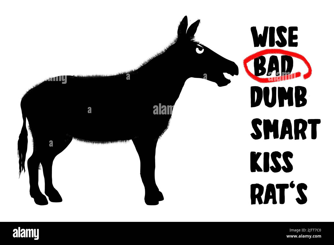 An ass, the animal, is seen with the words associated to the word ass in this illustration. Stock Photo