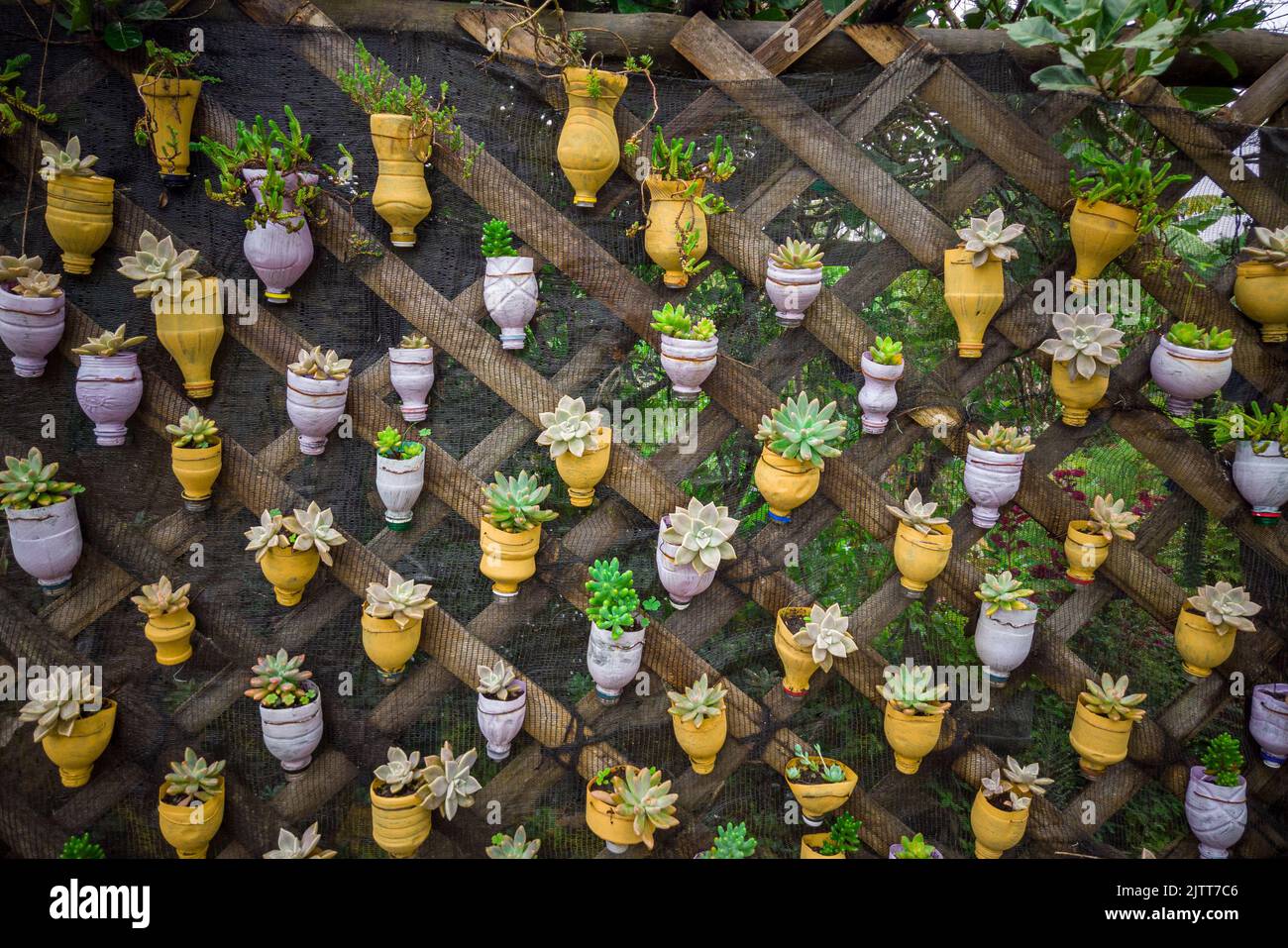 Sustainability, reusing pet bottles and transforming them into pots to