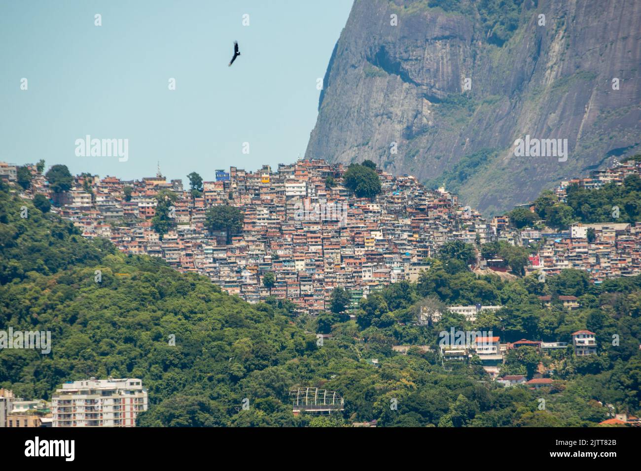 Rocinha Slum In View Of The Lagoa Rodrigo De Freitas In Rio De Janeiro ...