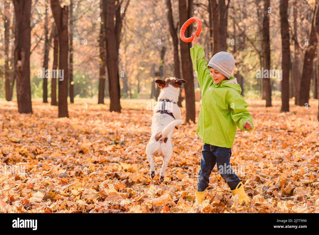 Kid boy playing with family pet dog in autumn park on bright sunny Fall day. Stock Photo