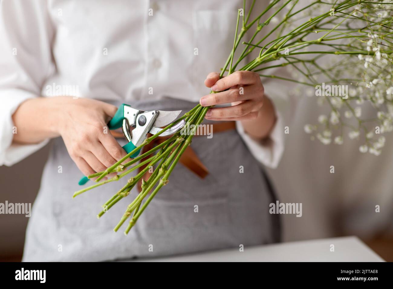 woman cutting flower stem with pruning shears Stock Photo