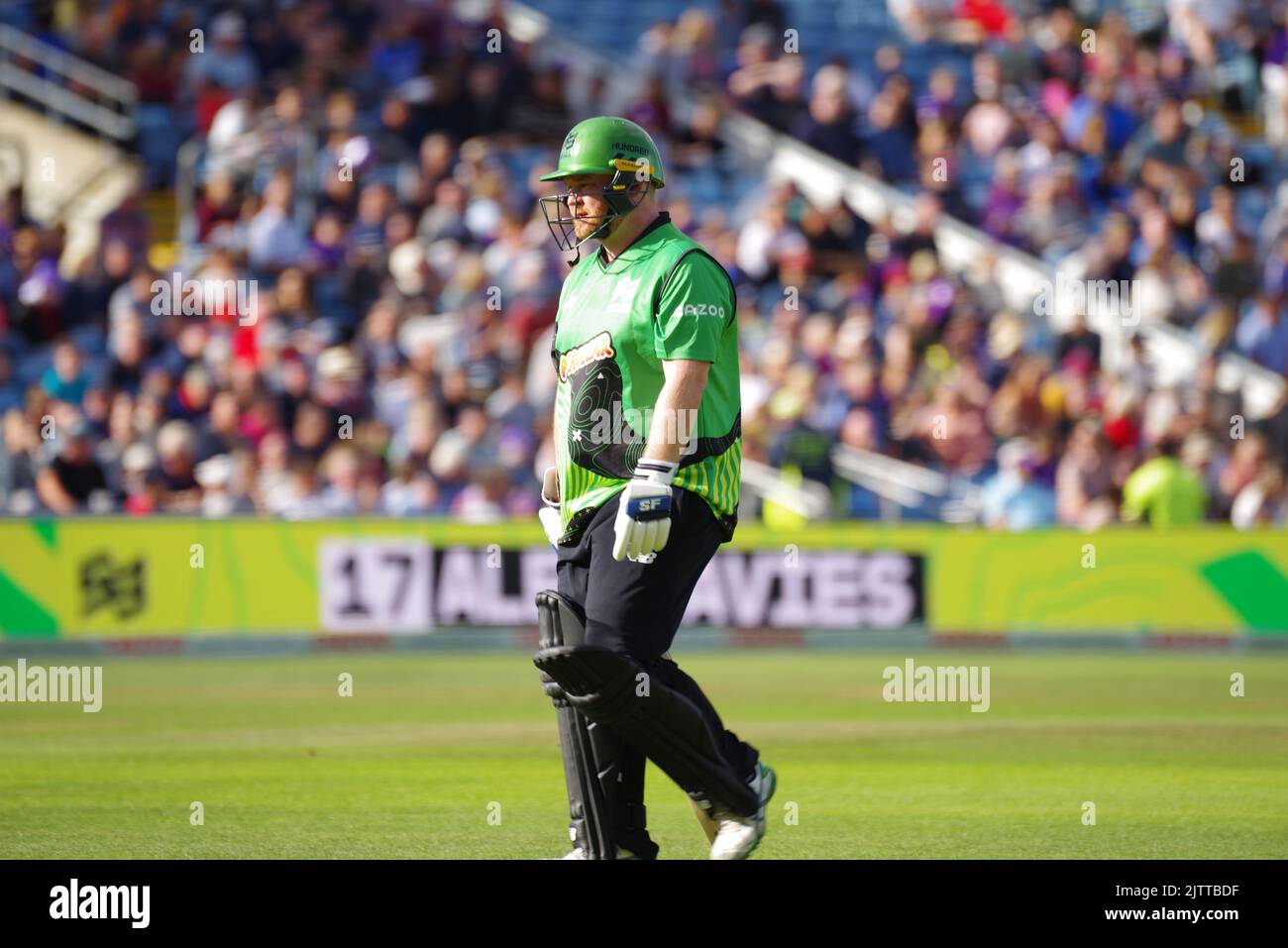 Leeds, England, 31 August 2022. Paul Stirling batting for Southern Brave Men against Northern Superchargers Men in The Hundred at Headingley leaving the field after being out caught. Credit: Colin Edwards Stock Photo