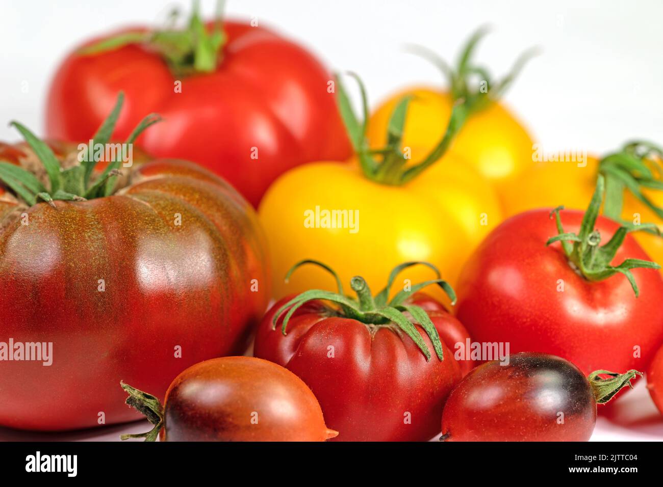 Red and yellow tomatoes in front of white background Stock Photo