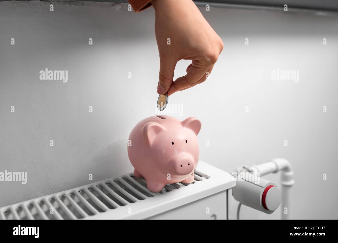hand putting coin into piggy bank on radiator Stock Photo - Alamy