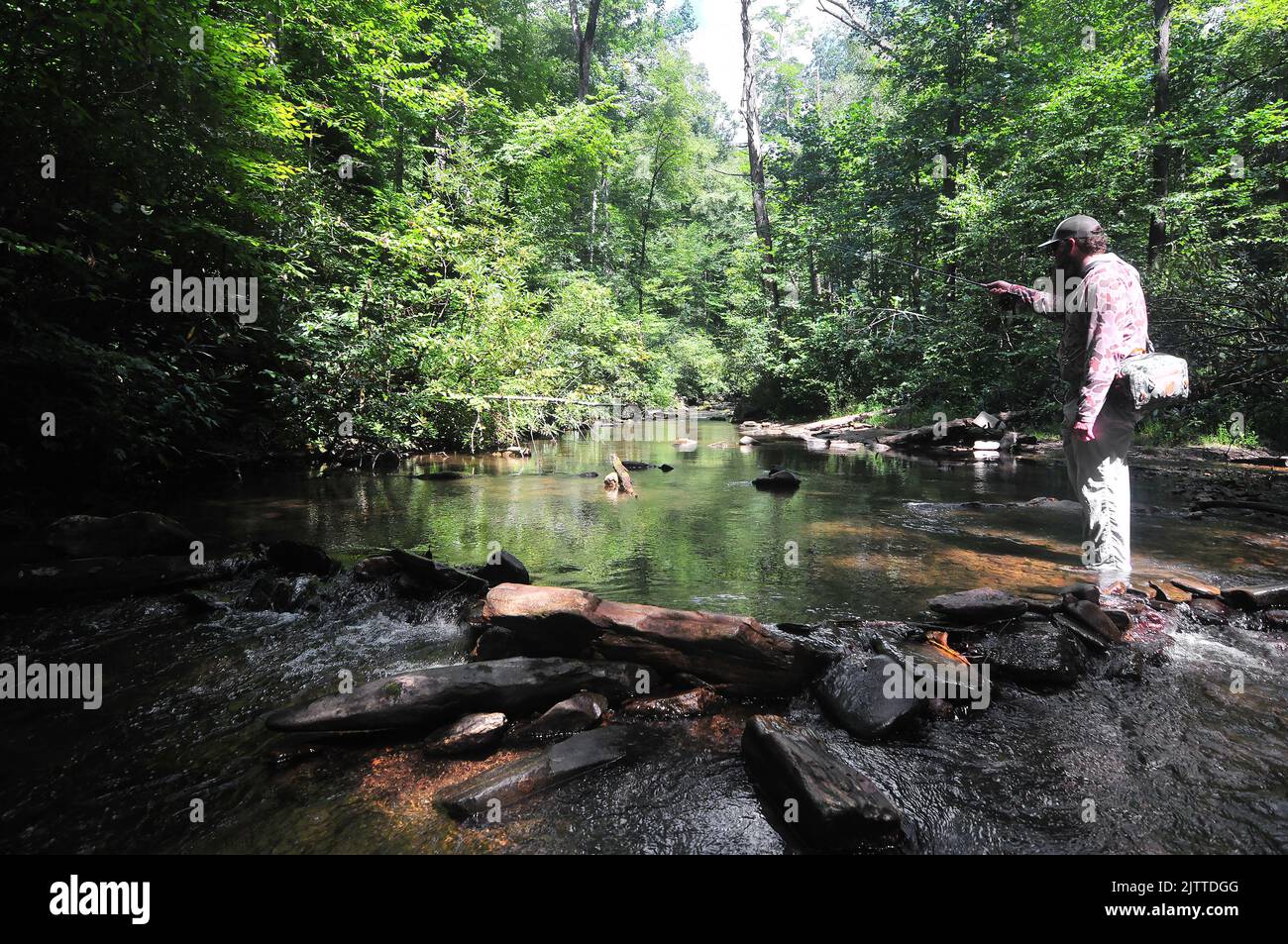 A trout angler works a quiet pool for trout in North Carolina's