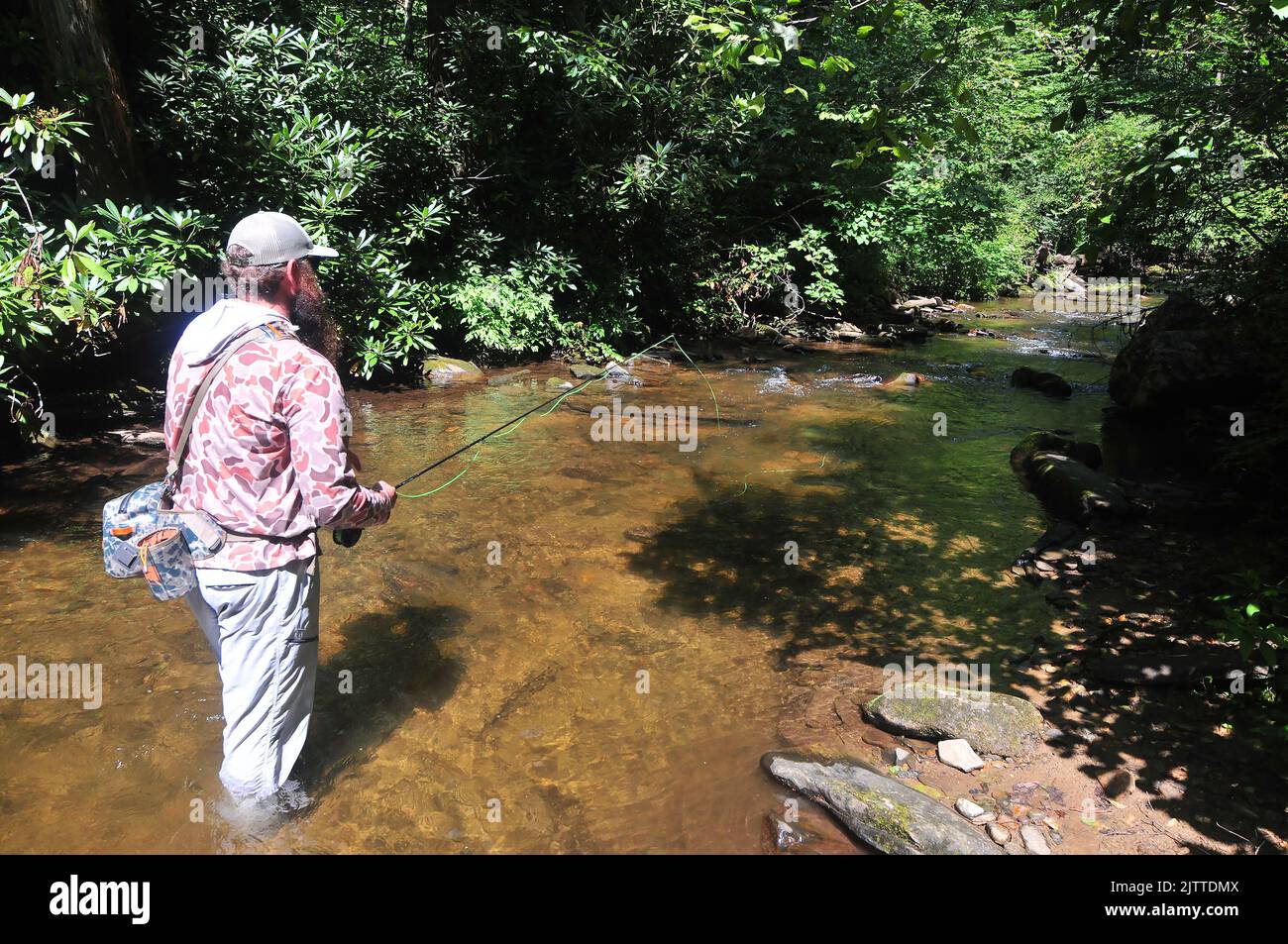 A trout angler works a quiet pool for trout in North Carolina's