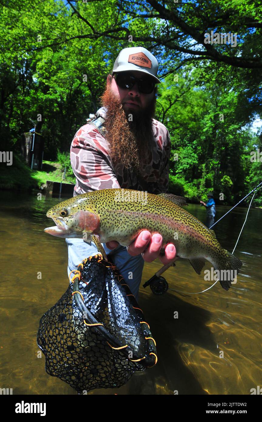 A trout angler works a quiet pool of the Davidson River in North