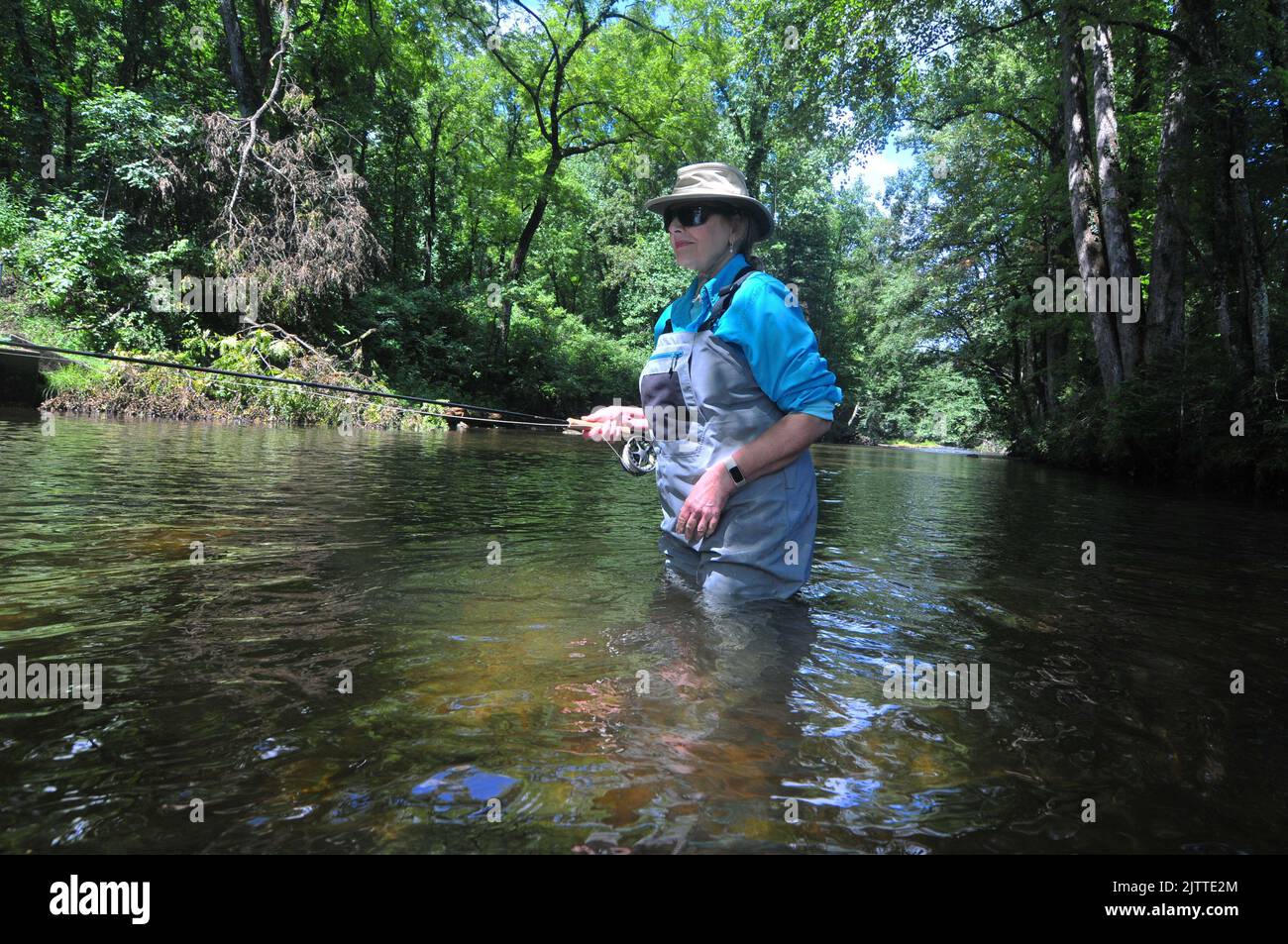 A trout angler works a quiet pool of the Davidson River in North Carolina's Appalachian Mountains. Stock Photo
